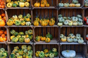 g5538d6733a9c3d8e58e8f452f5431099767a2ed1cbbb7e3320a20b13382617a5db9fefabb3e06f0fbc9b8a8c8113803cbb92a18f8c5a1c2a361beac1cdecab0a_1280