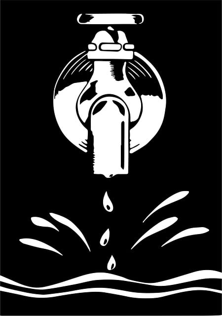 Debunking Plumbing Myths: Hiring Reputable Denver Plumbers